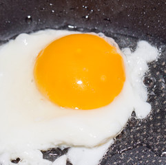 fried eggs