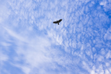 beautiful clouds in blue sky.