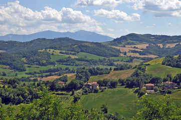 Le colline di Urbino, Marche