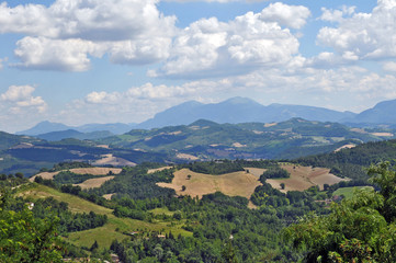 Fototapeta na wymiar Le colline di Urbino, Marche