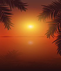 vector sunset among the palms