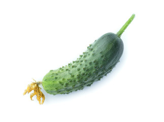 Cucumber isolated on white background