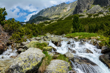Mlynicka dolina, Vysoke Tatry (Mlinicka valley, High Tatras) - Slovakia