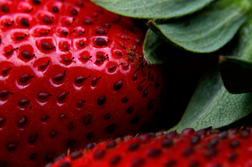 Berry - Close up of strawberries