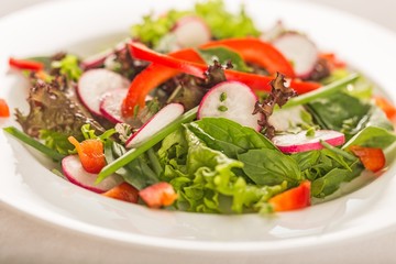 Salad, Lettuce, Food.