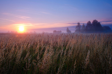 Obraz premium Foggy sunrise in village. Russian nature