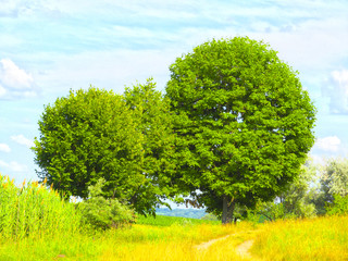 Obraz premium Hazel. HDR.