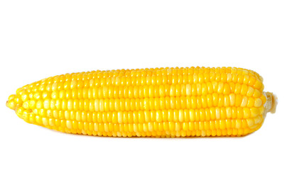 corn isolated on white background