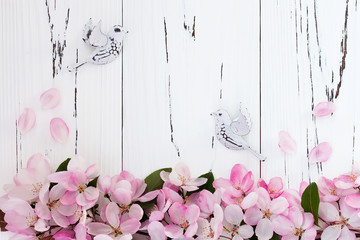 Fototapety  Spring apple blossom with pair birds on old vintage wooden background. Top view