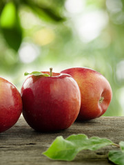 apples