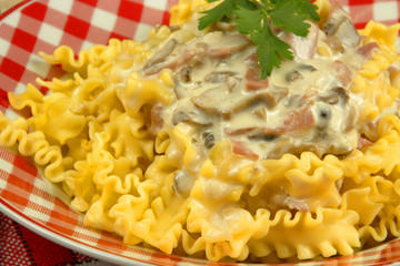 pâtes sauce champignons 07072015