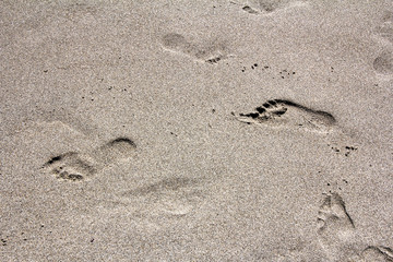 Footprints legs