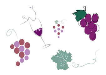 Fototapeta premium Fruit of the VIne
