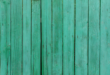 Green painted wood planks. Background and texture