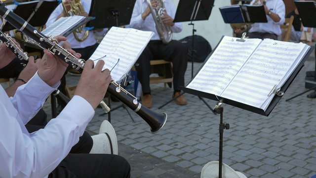 Clarinet Musician Performs with Band