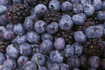 Blueberries and Blackberries
