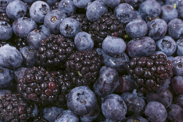 Blueberries and Blackberries