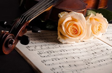 Wedding, Music, Violin.