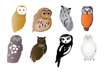 Owls