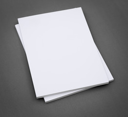 Blank catalog,brochure, magazines,book mock up