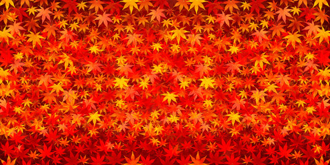 もみじ　紅葉　背景