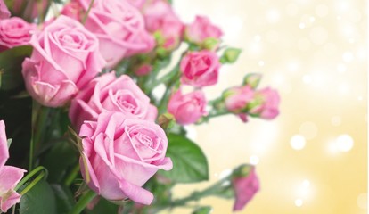 Mothers Day, Flower, Bouquet.