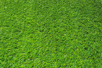 green grass texture background eco concept