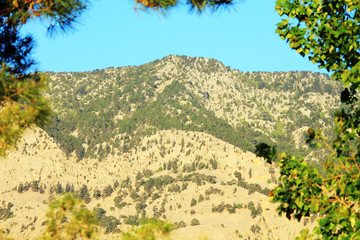 вершина горы © sanek70974