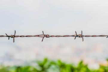 Rusty barbed wire