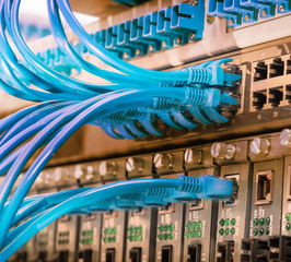 Network switch and ethernet cables,Data Center Concept