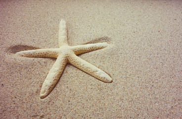 Fototapeta na wymiar starfish with frame on the beach, vacation memories