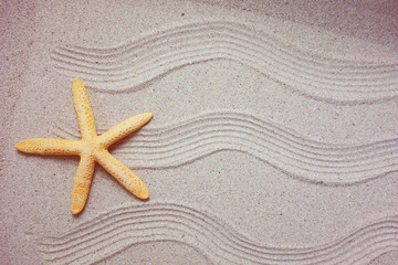 Fototapeta na wymiar starfish with frame on the beach, vacation memories