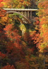 鳴子峡の紅葉