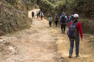 caminantes 
