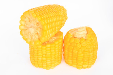 boil corn on white background