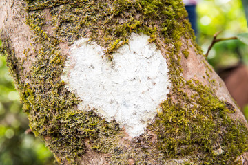 White Heart on Tree.