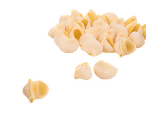 Close up of Italian pasta shells. 