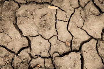 Dry cracked earth. 