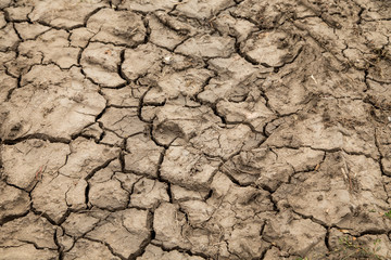 Dry cracked earth. 