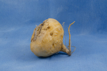 Maca - Lepidium meyenii