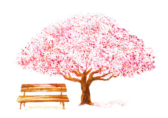Fototapeta premium watercolor hand drawn cherry tree and bench on white