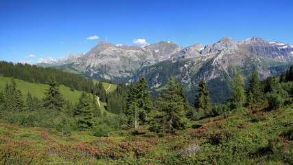 Fototapeta premium Summer landscape near Gstaad