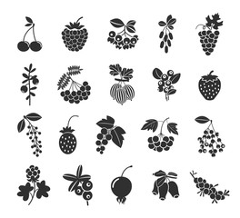 Berries silhouettes icons