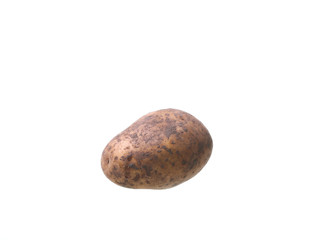 Fototapeta na wymiar one potatoes isolated on white background