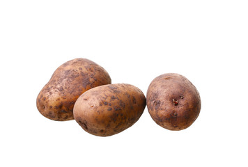 potato isolated on white background close up