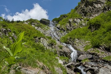 Fototapeta na wymiar Mountain landscape with waterfall in Carpathians mountains