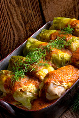 Cabbage rolls out young cabbage