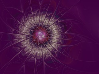 Abstract flower. Created in Apophysis