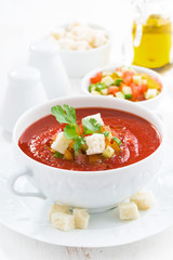 fresh gazpacho in a white bowl, vertical, close-up