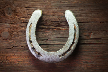 Horseshoe